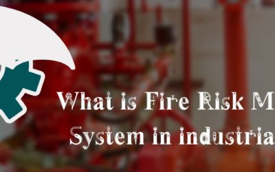 What is Fire Risk Management System in industrial project?